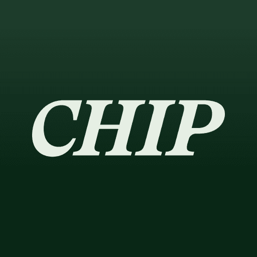 Chip